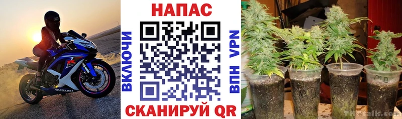 Конопля MAZAR Мелеуз